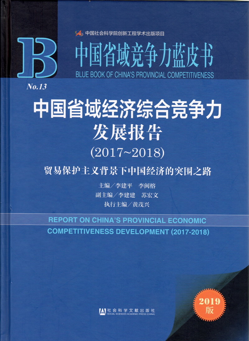 我想看橾大肥逼视频中国省域经济综合竞争力发展报告（2017-2018）